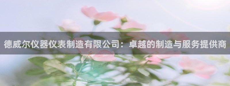 意昂3开户：德威尔仪器仪表制造有限公司：卓越的制造与服务提供