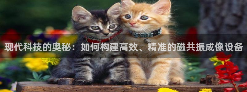 意昂体育3平台是正规平台吗：现代科技的奥秘：如何构建高效、精