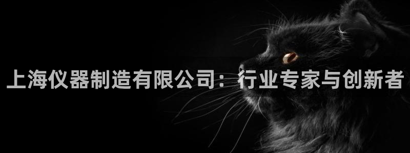 意昂3集团官网网址：上海仪器制造有限公司：行业专家与创新者