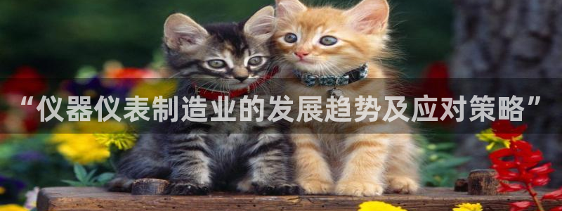 意昂平台体育：“仪器仪表制造业的发展趋势及应对策略”