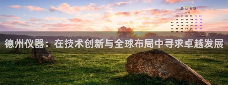 意昂3集团简介：德州仪器：在技术创新与全球布局中寻求卓越发展
