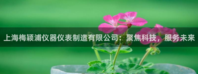 意昂体育3平台注册：上海梅颖浦仪器仪表制造有限公司：聚焦科技