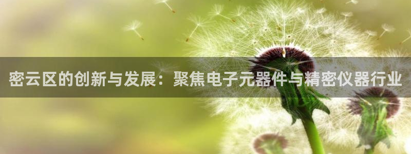 意昂体育3平台：密云区的创新与发展：聚焦电子元器件与精密仪器