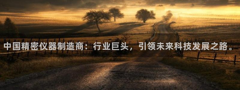 意昂体育3平台注册：中国精密仪器制造商：行业巨头，引领未来科