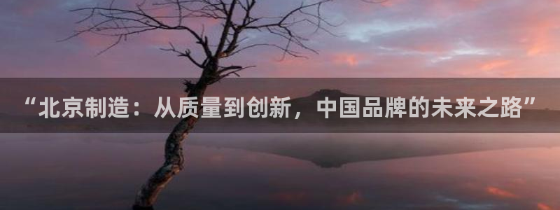 意昂体育3平台注册要钱吗：“北京制造：从质量到创新，中国品牌