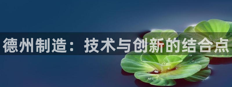 海南意昂体育3发展怎么样：德州制造：技术与创新的结合点