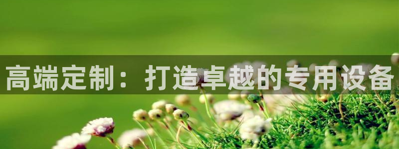 意昂3代理：高端定制：打造卓越的专用设备