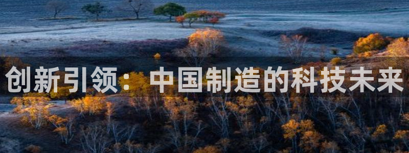意昂体育3平台是正规平台吗：创新引领：中国制造的科技未来