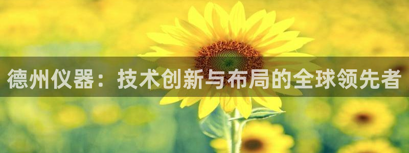 意昂体育3招商电话号码查询：德州仪器：技术创新与布局的全球领