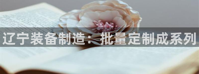 意昂体育3招商电话地址查询：辽宁装备制造：批量定制成系列