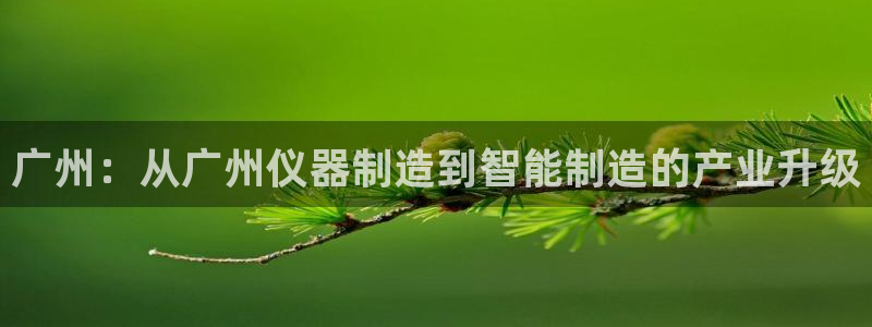 意昂体育3平台注册要钱吗安全吗：广州：从广州仪器制造到智能制