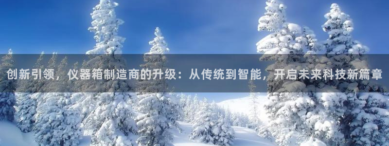 意昂体育3平台：创新引领，仪器箱制造商的升级：从传统到智能，