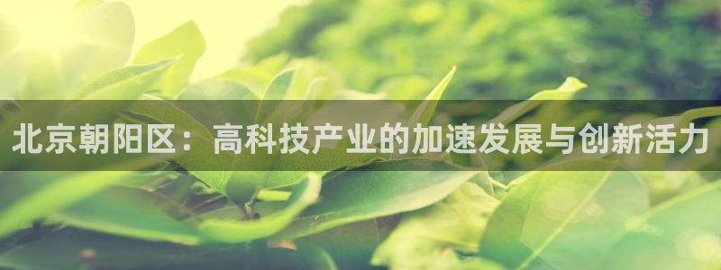 意昂3娱乐平台：北京朝阳区：高科技产业的加速发展与创新活力