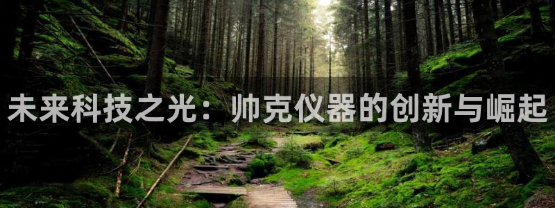 意昂体育3招商电话是多少啊：未来科技之光：帅克仪器的创新与崛
