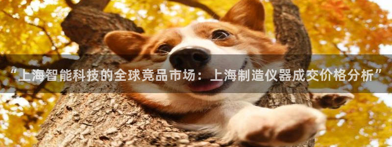 意昂3娱乐网站：“上海智能科技的全球竞品市场：上海制造仪器成