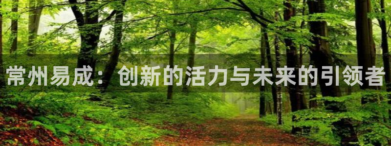 德国意昂3集团：常州易成：创新的活力与未来的引领者