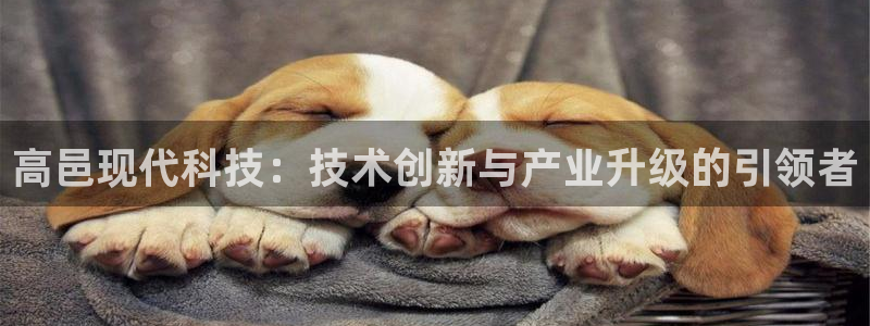 意昂3集团logo：高邑现代科技：技术创新与产业升级的引领者