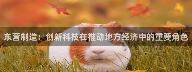 意昂3五金厂：东营制造：创新科技在推动地方经济中的重要角色