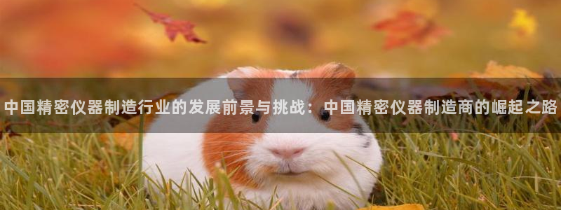 意昂体育3招商电话号码查询是多少：中国精密仪器制造行业的发展