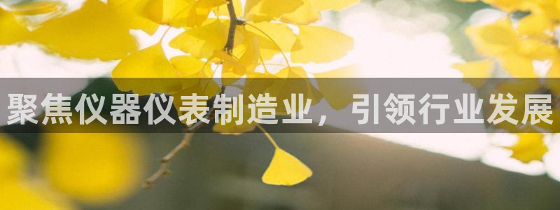 意昂3开户：聚焦仪器仪表制造业，引领行业发展