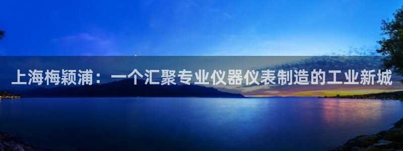 意昂体育3娱乐：上海梅颖浦：一个汇聚专业仪器仪表制造的工业新
