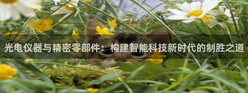 海南意昂体育3发展怎么样：光电仪器与精密零部件：构建智能科技