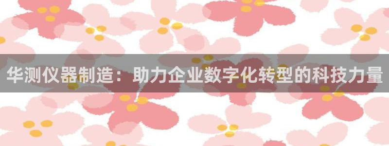 意昂体育3是干嘛的公司：华测仪器制造：助力企业数字化转型的科