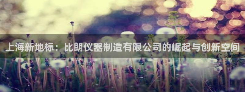 意昂体育3开户：上海新地标：比朗仪器制造有限公司的崛起与创新