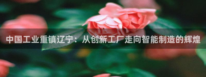 意昂3娱乐代理怎么样：中国工业重镇辽宁：从创新工厂走向智能制