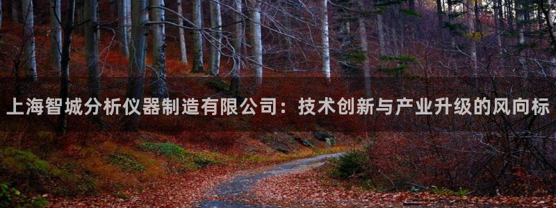 意昂3娱乐是那个系列的台子：上海智城分析仪器制造有限公司：技