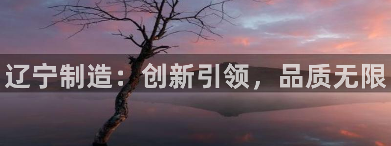 意昂体育3开户：辽宁制造：创新引领，品质无限