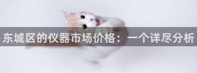 意昂体育3招商：东城区的仪器市场价格：一个详尽分析
