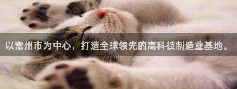意昂3娱乐平台：以常州市为中心，打造全球领先的高科技制造业基