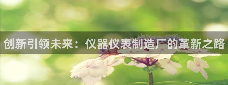 意昂体育3招商电话是多少号码：创新引领未来：仪器仪表制造厂的