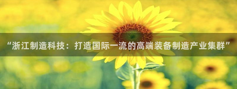 意昂体育3招商：“浙江制造科技：打造国际一流的高端装备制造产
