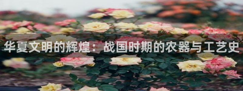 意昂集团官网：华夏文明的辉煌：战国时期的农器与工艺史