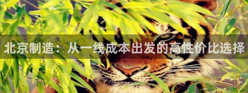 意昂3代理：北京制造：从一线成本出发的高性价比选择