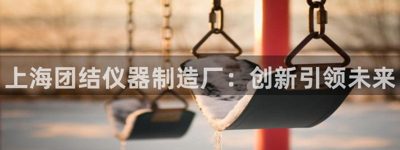 意昂体育3是干嘛的公司：上海团结仪器制造厂：创新引领未来