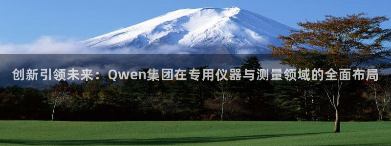 意昂体育3平台APP：创新引领未来：Qwen集团在专用仪器与