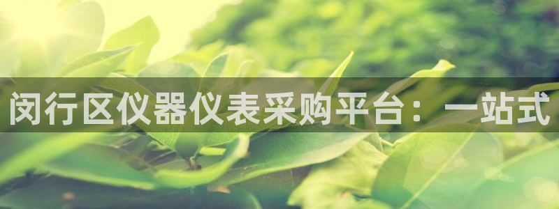 意昂体育3平台注册要钱吗安全吗：闵行区仪器仪表采购平台：一站