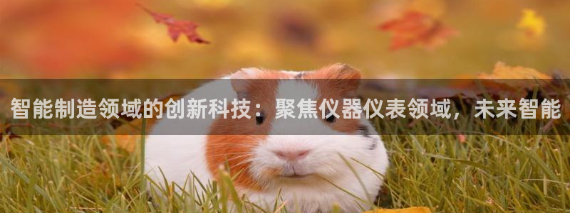 意昂体育3平台假的吗是真的吗：智能制造领域的创新科技：聚焦仪