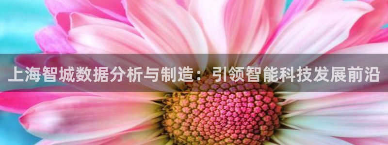 意昂体育3平台是正规平台吗：上海智城数据分析与制造：引领智能