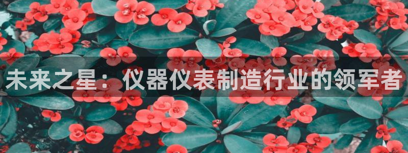 意昂3开户：未来之星：仪器仪表制造行业的领军者