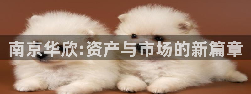 意昂体育3软件：南京华欣:资产与市场的新篇章
