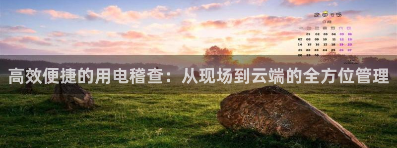 意昂体育3平台假的吗是真的吗吗：高效便捷的用电稽查：从现场到