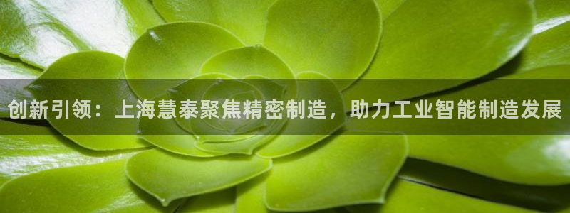意昂3集团官网首页网址：创新引领：上海慧泰聚焦精密制造，助力