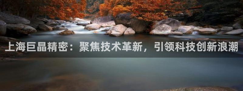 意昂体育3软件：上海巨晶精密：聚焦技术革新，引领科技创新浪潮