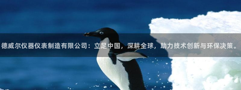 意昂体育3：德威尔仪器仪表制造有限公司：立足中国，深耕全球，