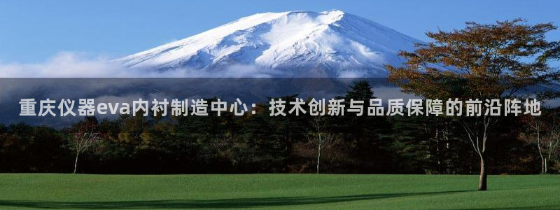 意昂3集团logo：重庆仪器eva内衬制造中心：技术创新与品