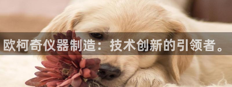 意昂3娱乐40996：欧柯奇仪器制造：技术创新的引领者。
